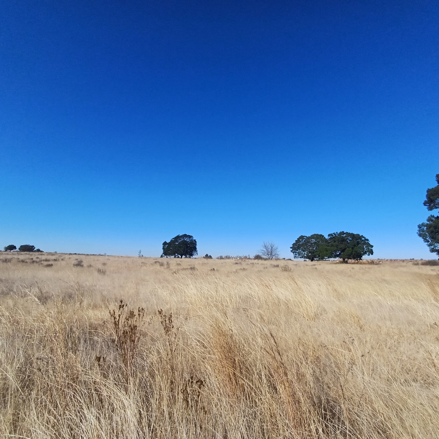 0 Bedroom Property for Sale in Witkop Gauteng