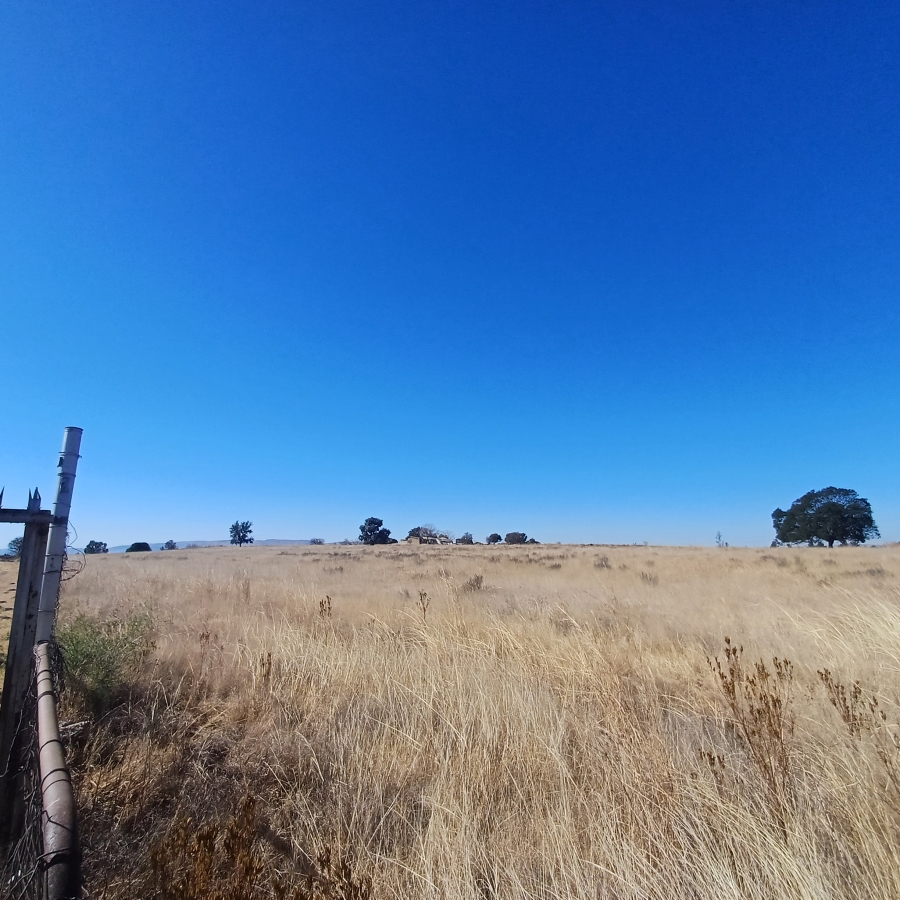 0 Bedroom Property for Sale in Witkop Gauteng