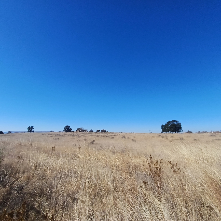 0 Bedroom Property for Sale in Witkop Gauteng