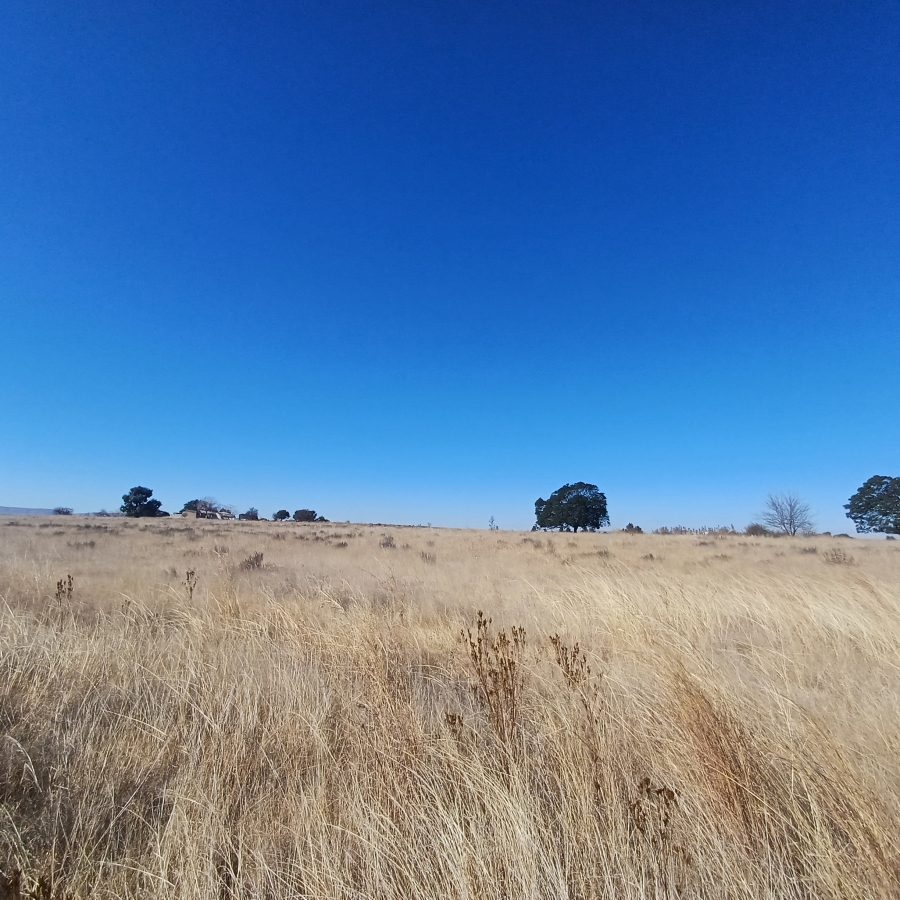 0 Bedroom Property for Sale in Witkop Gauteng