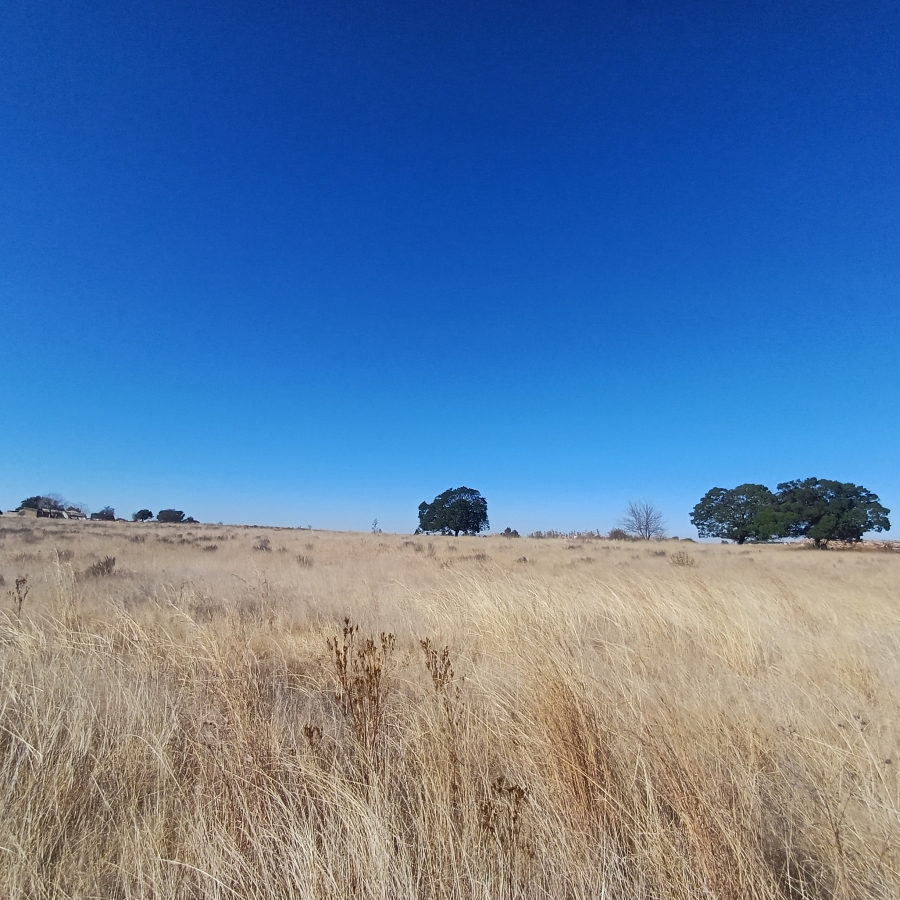 0 Bedroom Property for Sale in Witkop Gauteng