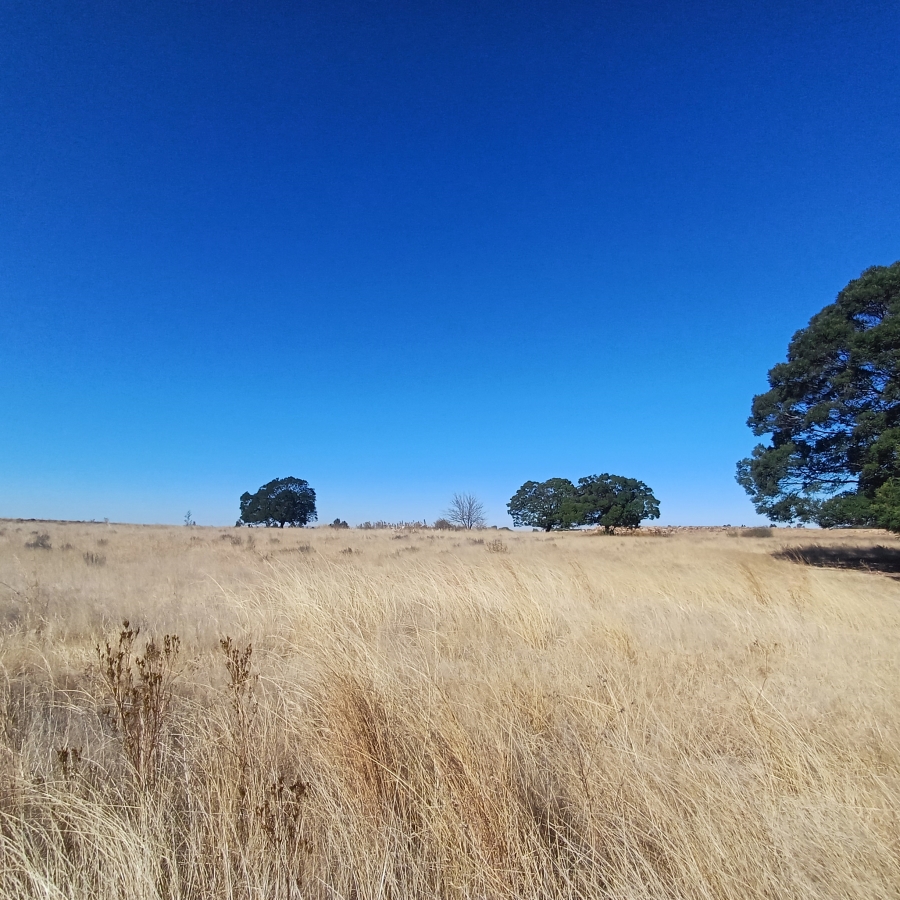 0 Bedroom Property for Sale in Witkop Gauteng