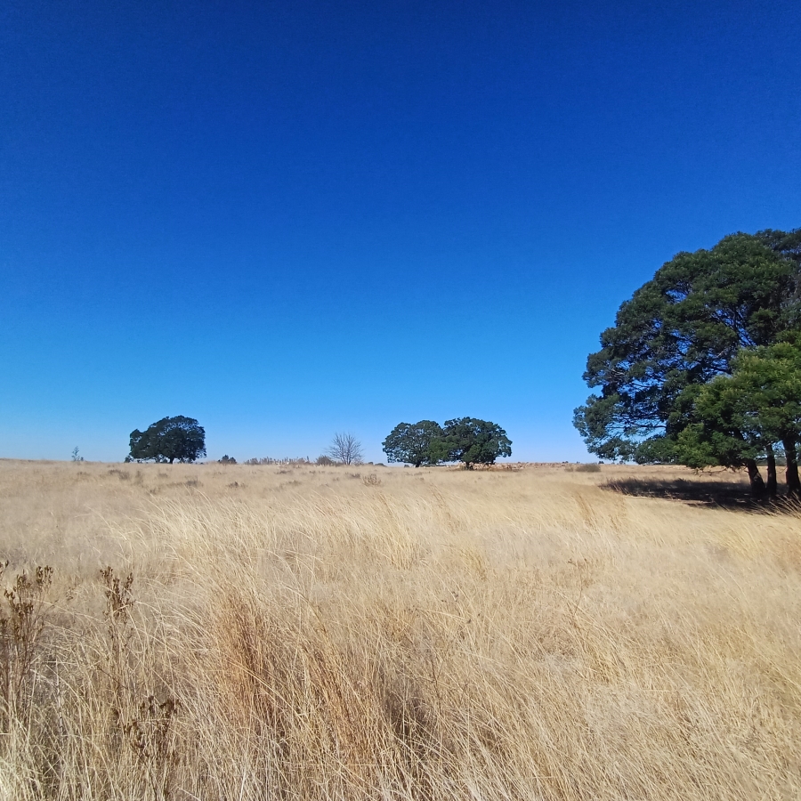 0 Bedroom Property for Sale in Witkop Gauteng