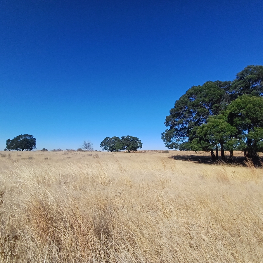 0 Bedroom Property for Sale in Witkop Gauteng