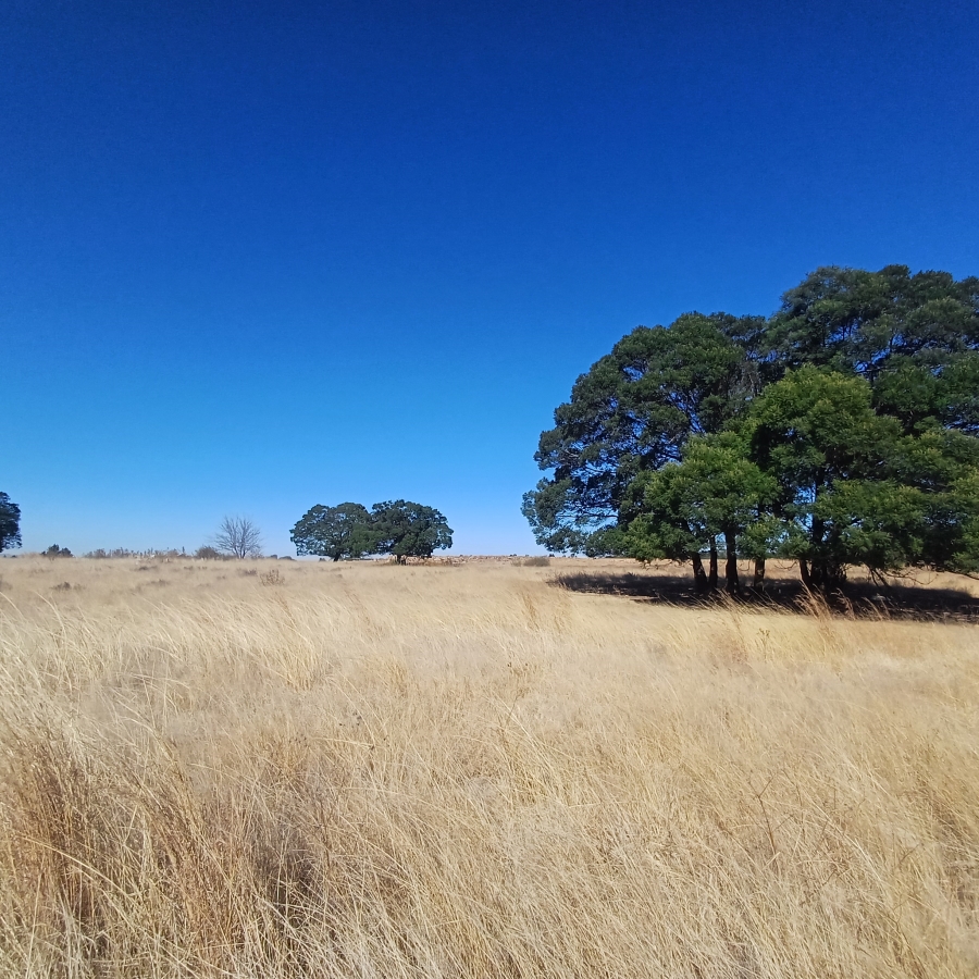 0 Bedroom Property for Sale in Witkop Gauteng