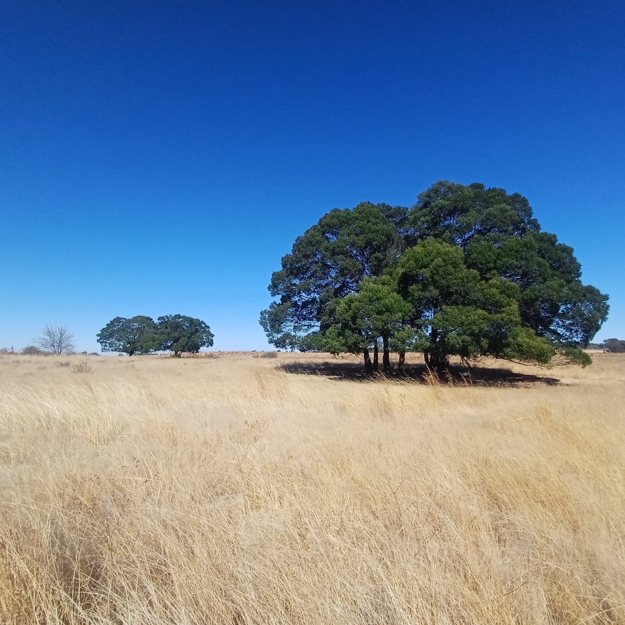 0 Bedroom Property for Sale in Witkop Gauteng