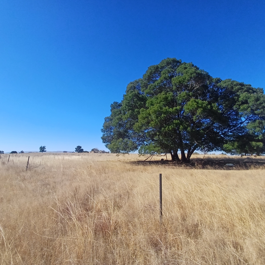 0 Bedroom Property for Sale in Witkop Gauteng