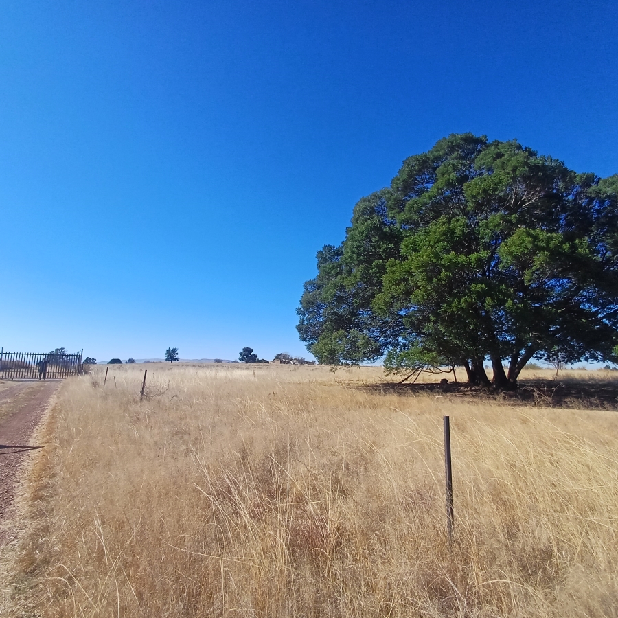 0 Bedroom Property for Sale in Witkop Gauteng