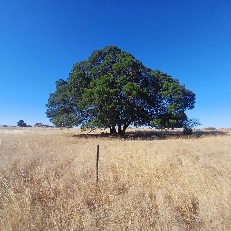 0 Bedroom Property for Sale in Witkop Gauteng