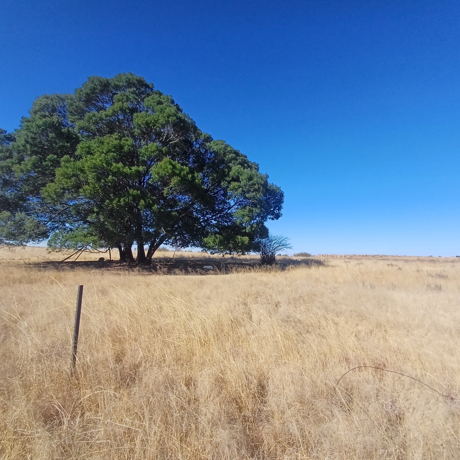 0 Bedroom Property for Sale in Witkop Gauteng