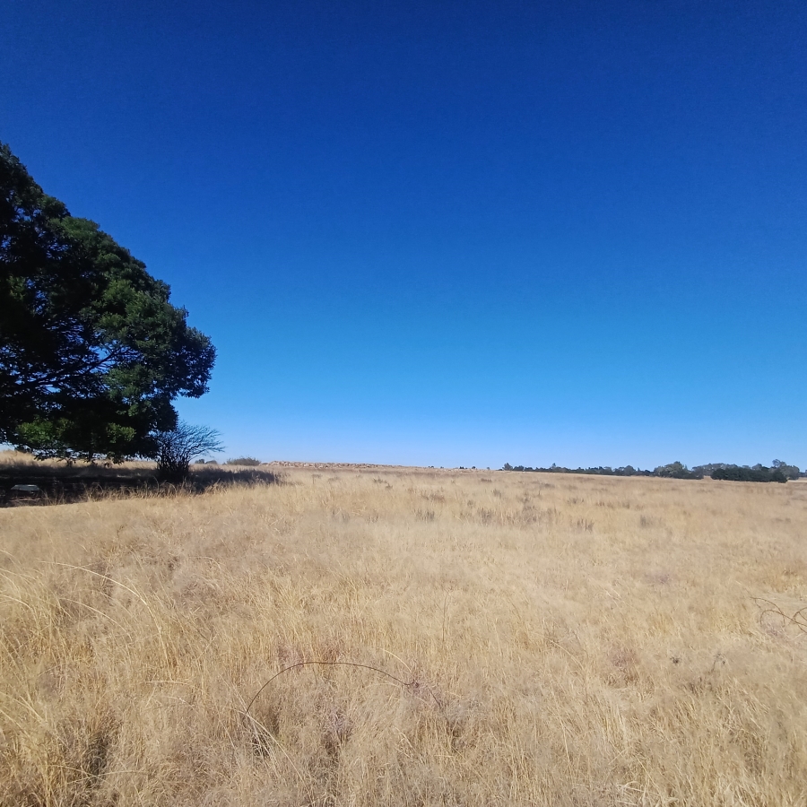 0 Bedroom Property for Sale in Witkop Gauteng