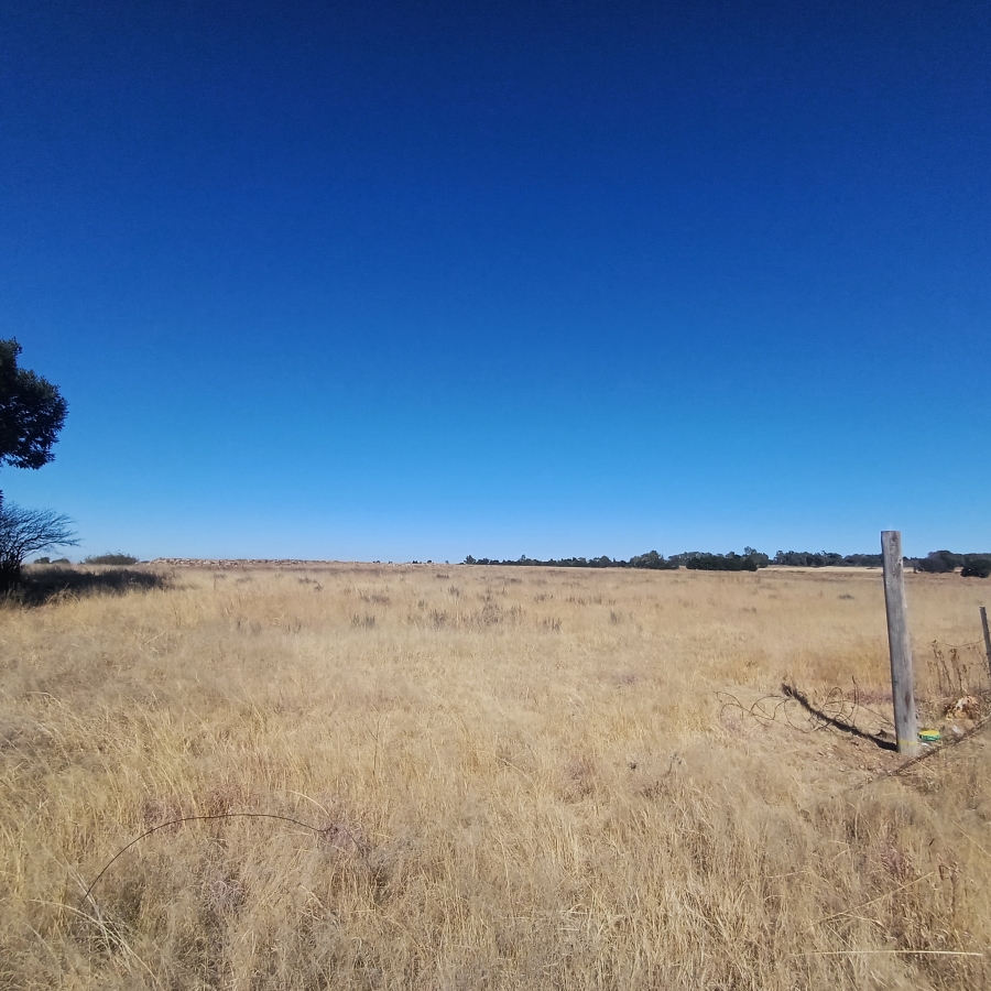 0 Bedroom Property for Sale in Witkop Gauteng