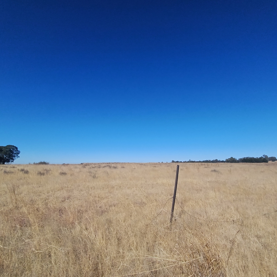 0 Bedroom Property for Sale in Witkop Gauteng