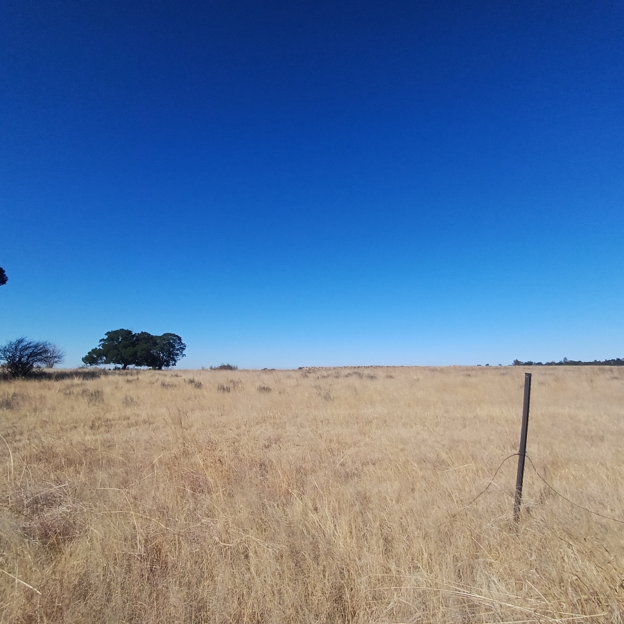 0 Bedroom Property for Sale in Witkop Gauteng