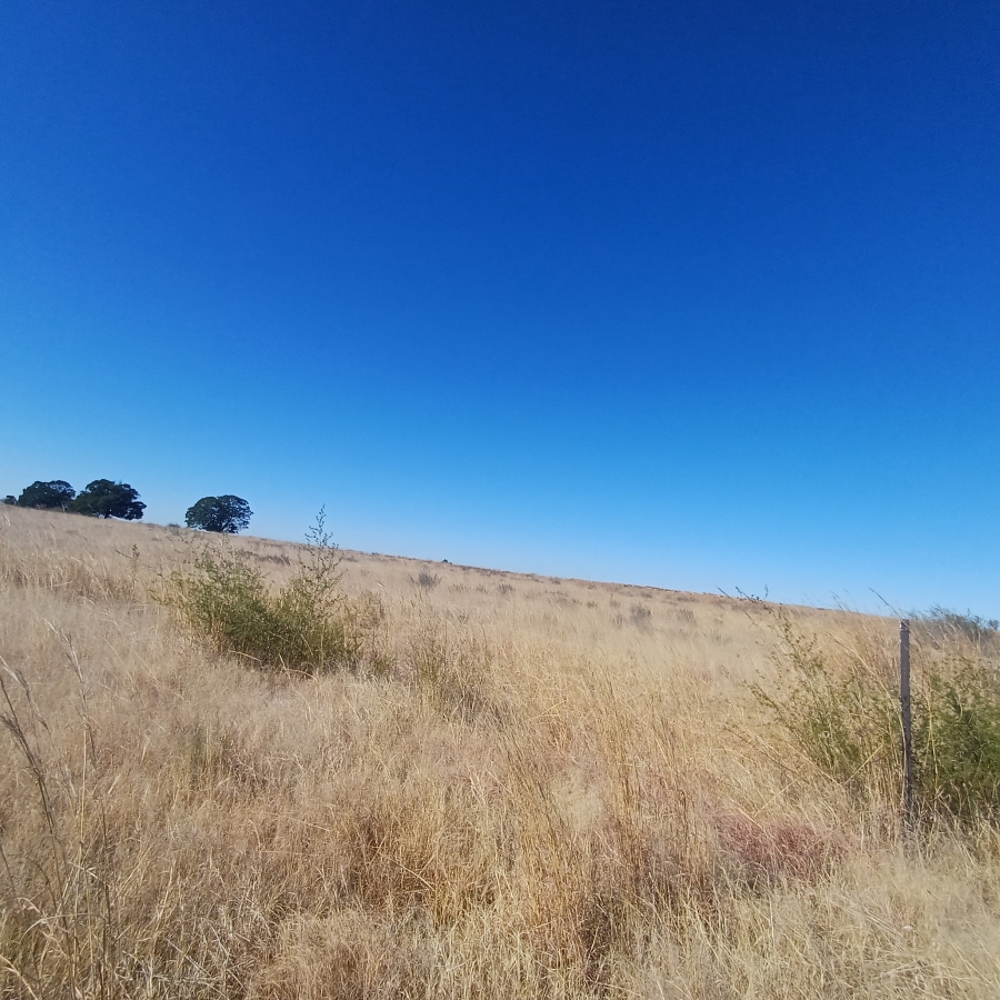 0 Bedroom Property for Sale in Witkop Gauteng