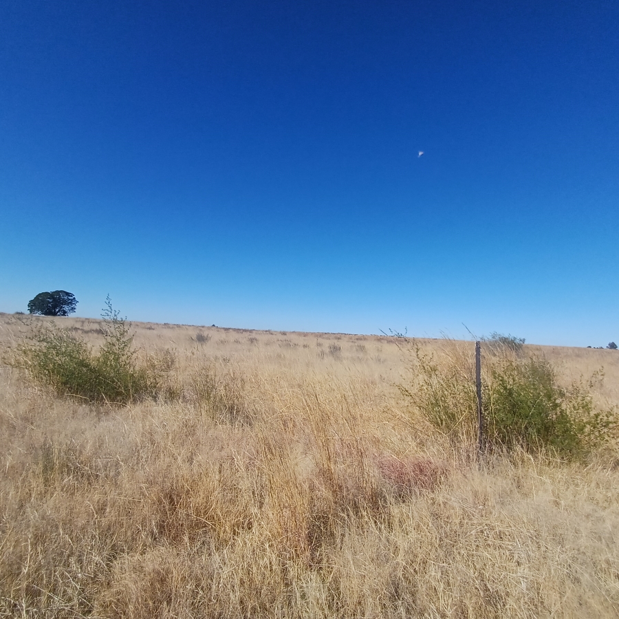 0 Bedroom Property for Sale in Witkop Gauteng
