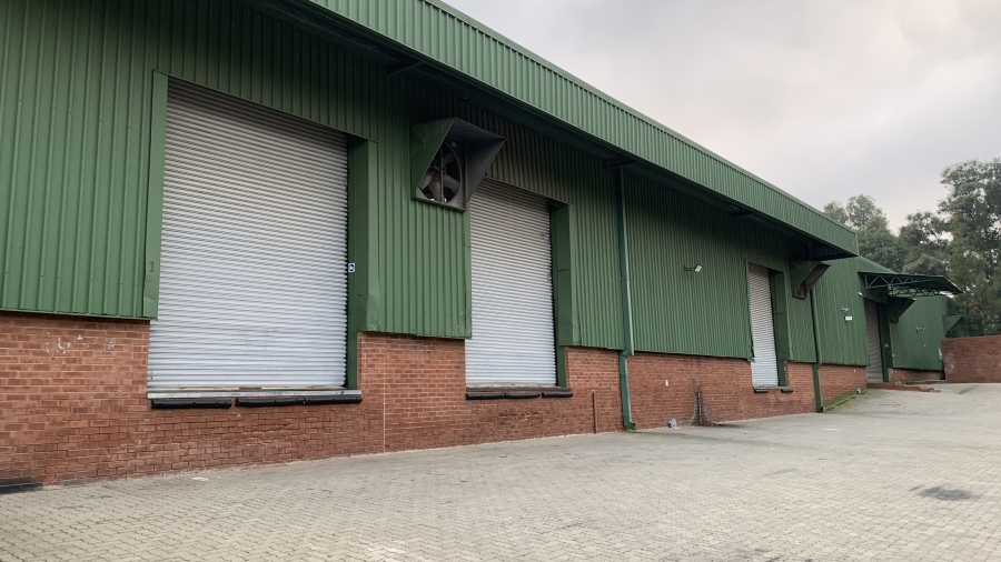 To Let commercial Property for Rent in Linbro Park Gauteng