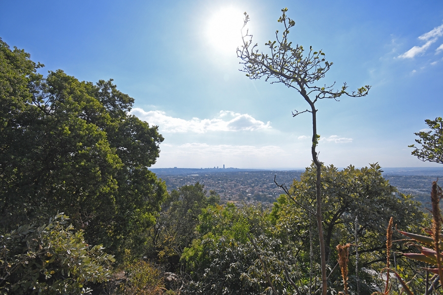 0 Bedroom Property for Sale in Linksfield Ridge Gauteng