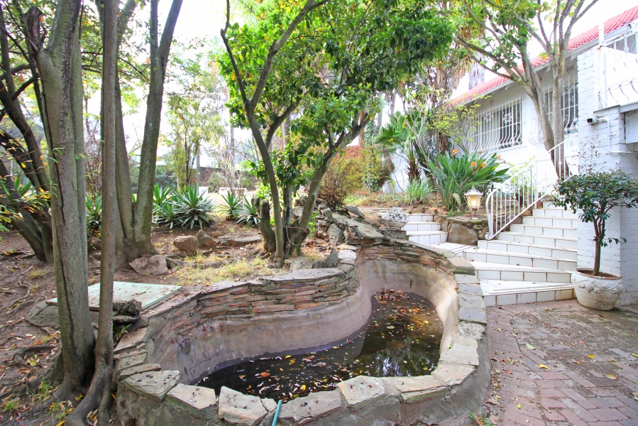 To Let 3 Bedroom Property for Rent in Ferndale Gauteng