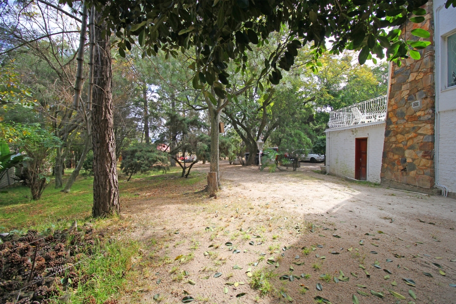 To Let 3 Bedroom Property for Rent in Ferndale Gauteng