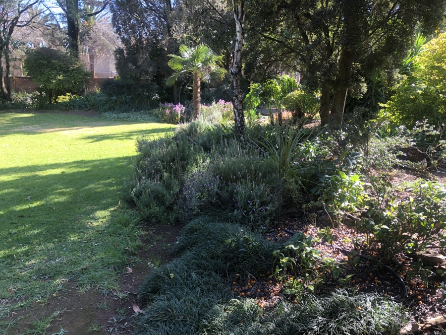 3 Bedroom Property for Sale in Bedfordview Gauteng