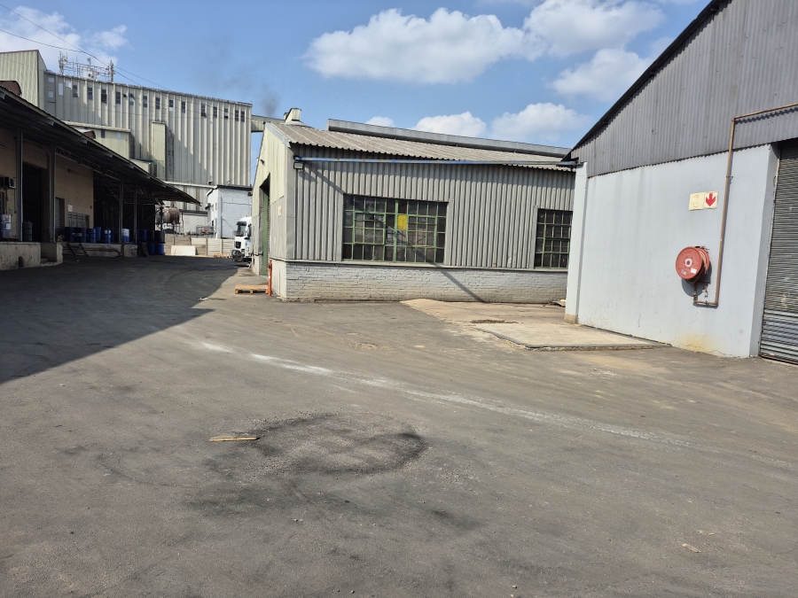 To Let commercial Property for Rent in Isando Gauteng