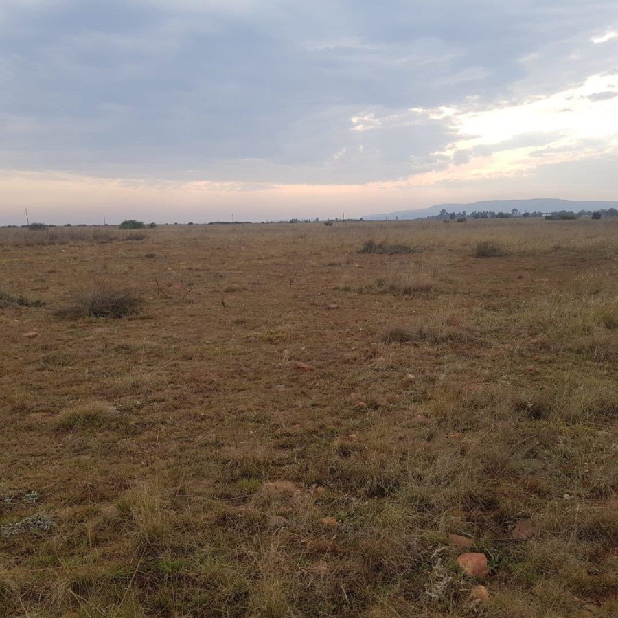 0 Bedroom Property for Sale in Henley on Klip Gauteng