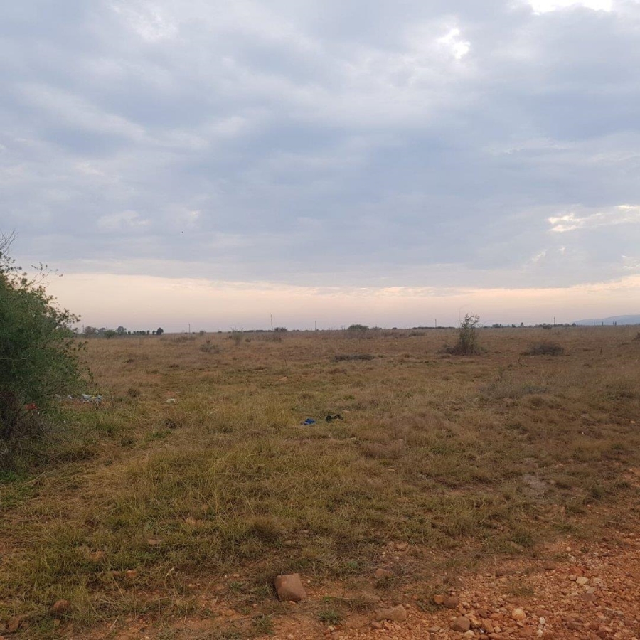 0 Bedroom Property for Sale in Henley on Klip Gauteng