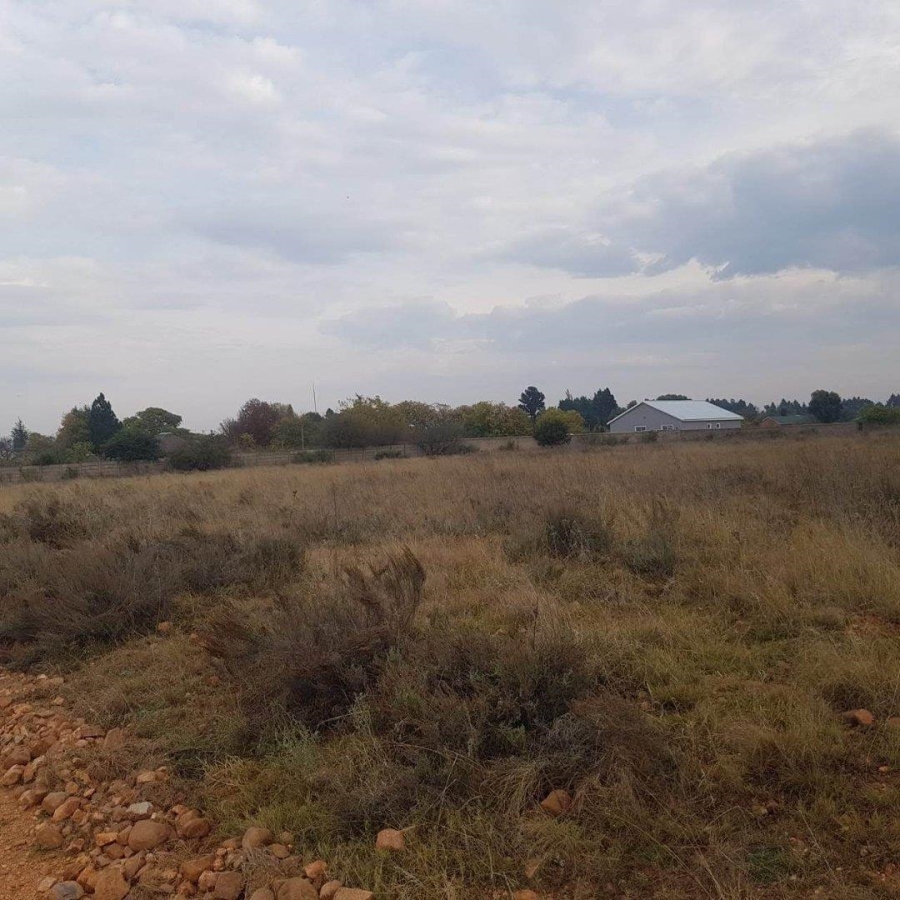 0 Bedroom Property for Sale in Henley on Klip Gauteng