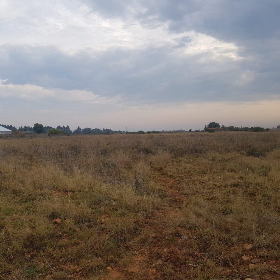 0 Bedroom Property for Sale in Henley on Klip Gauteng