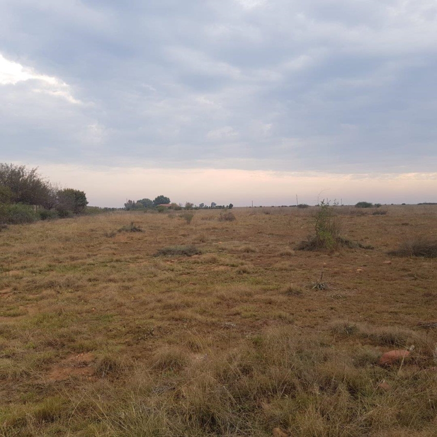 0 Bedroom Property for Sale in Henley on Klip Gauteng