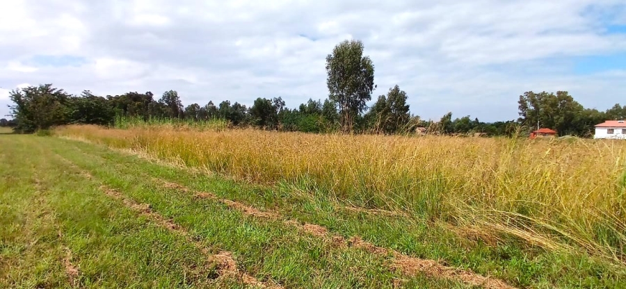 0 Bedroom Property for Sale in Meyerton South Gauteng