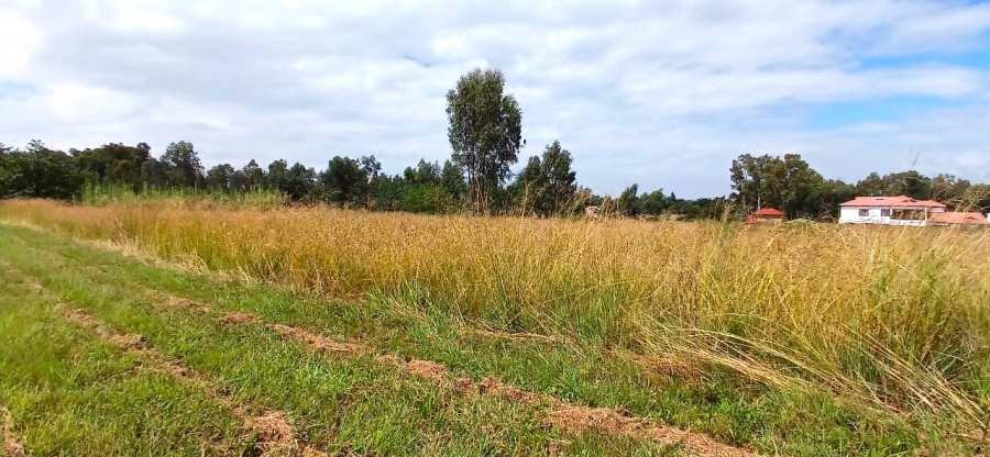 0 Bedroom Property for Sale in Meyerton South Gauteng