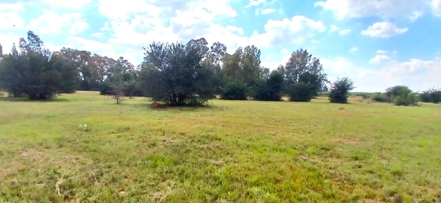 0 Bedroom Property for Sale in Riversdale Gauteng