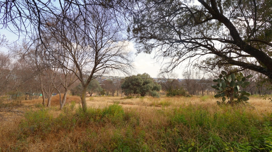 0 Bedroom Property for Sale in Helderfontein Estate Gauteng