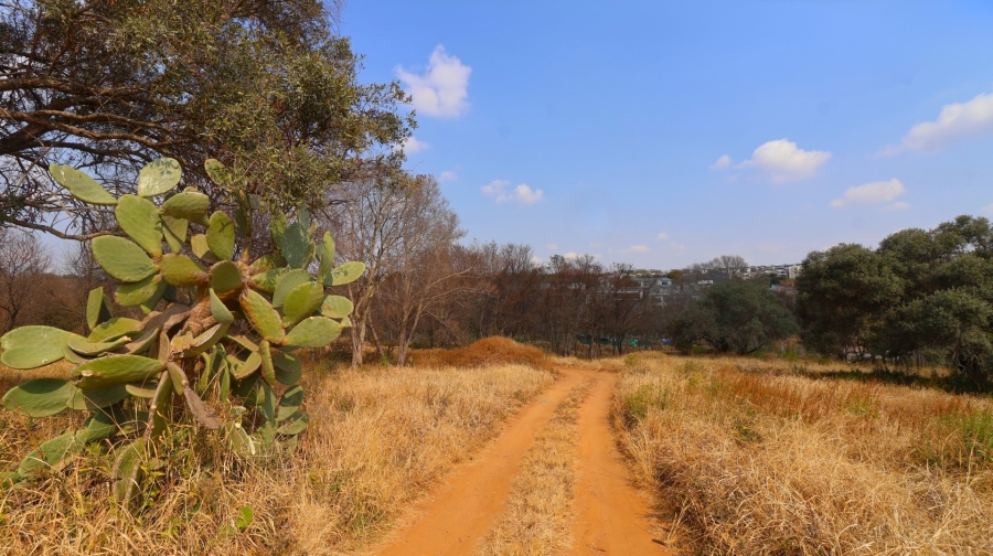 0 Bedroom Property for Sale in Helderfontein Estate Gauteng