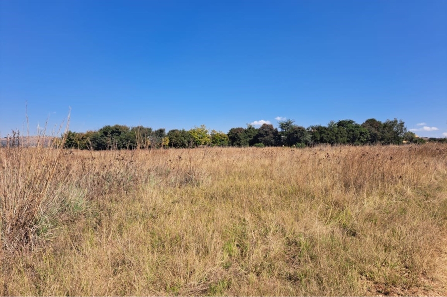 0 Bedroom Property for Sale in Letamo Game Farm Gauteng