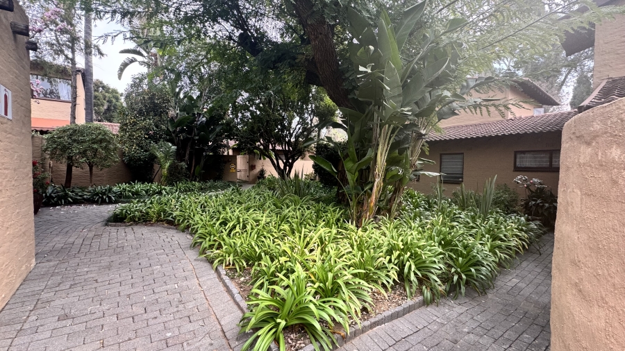 To Let 3 Bedroom Property for Rent in Sandown Gauteng