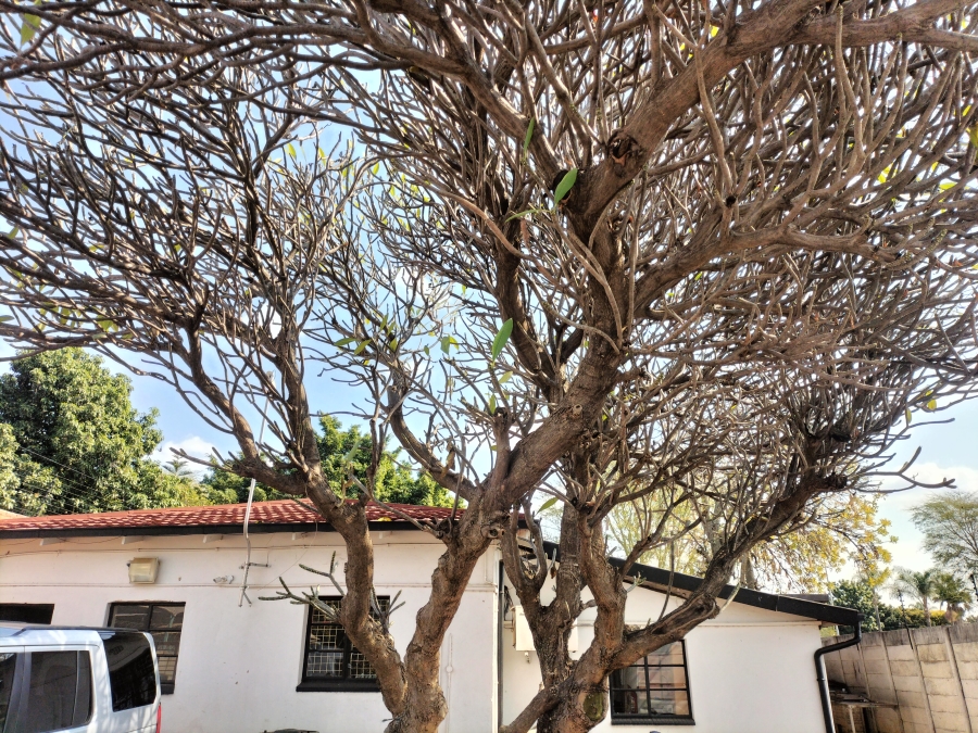 3 Bedroom Property for Sale in Pretoria North Gauteng