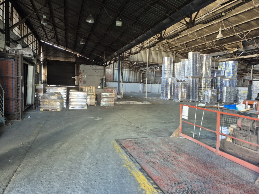 To Let commercial Property for Rent in Elandsfontein Gauteng