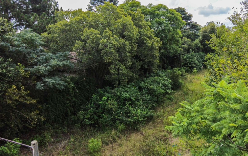 0 Bedroom Property for Sale in Hatfield Gauteng