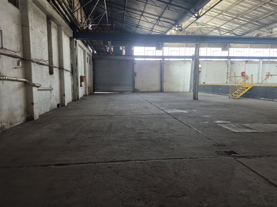 To Let commercial Property for Rent in Elandsfontein Gauteng