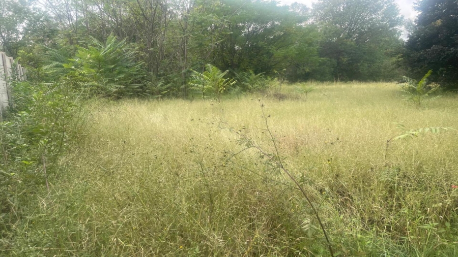 0 Bedroom Property for Sale in Henley on Klip Gauteng