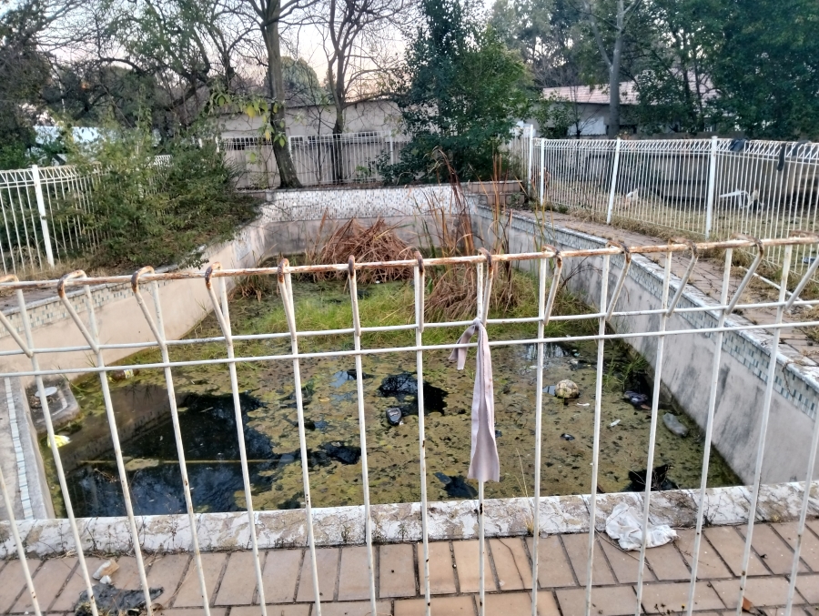 8 Bedroom Property for Sale in Ferndale Gauteng