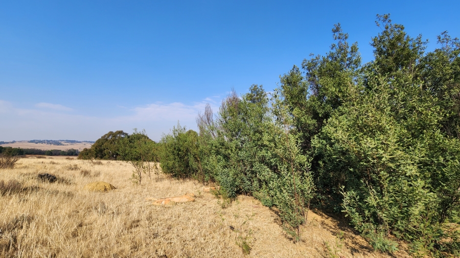 0 Bedroom Property for Sale in Bothaskraal AH Gauteng