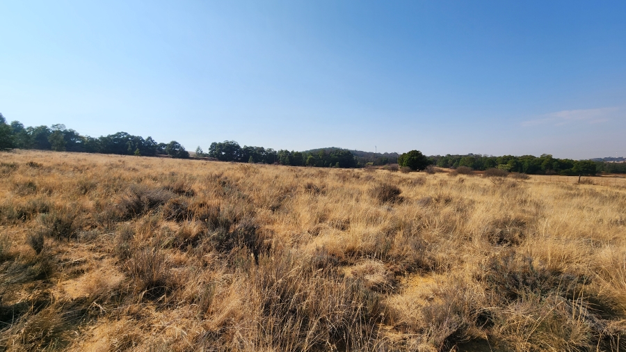 0 Bedroom Property for Sale in Bothaskraal AH Gauteng