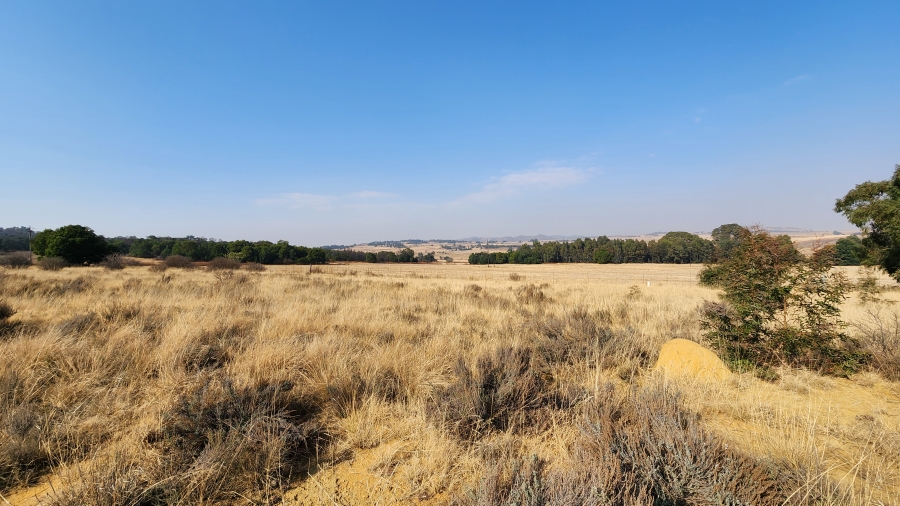 0 Bedroom Property for Sale in Bothaskraal AH Gauteng