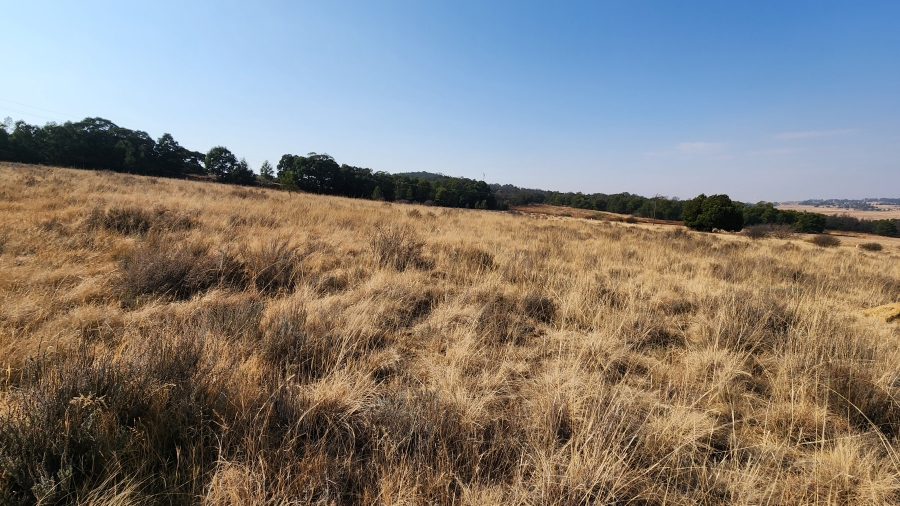 0 Bedroom Property for Sale in Bothaskraal AH Gauteng
