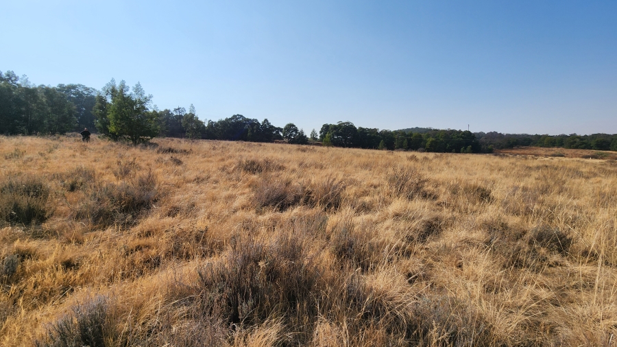 0 Bedroom Property for Sale in Bothaskraal AH Gauteng