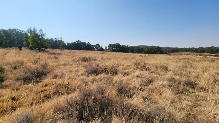 0 Bedroom Property for Sale in Bothaskraal AH Gauteng